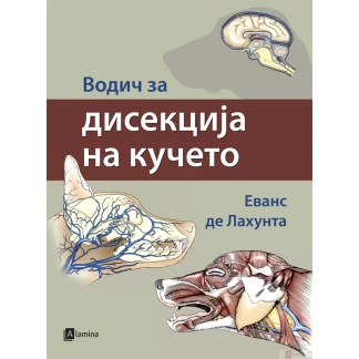 Водич за дисекција на кучето Ветерина Kiwi.mk